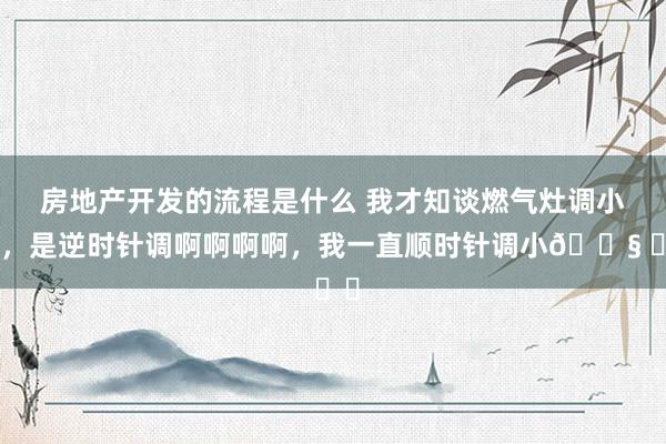 房地产开发的流程是什么 我才知谈燃气灶调小火，是逆时针调啊啊啊啊，我一直顺时针调小😧 ​​