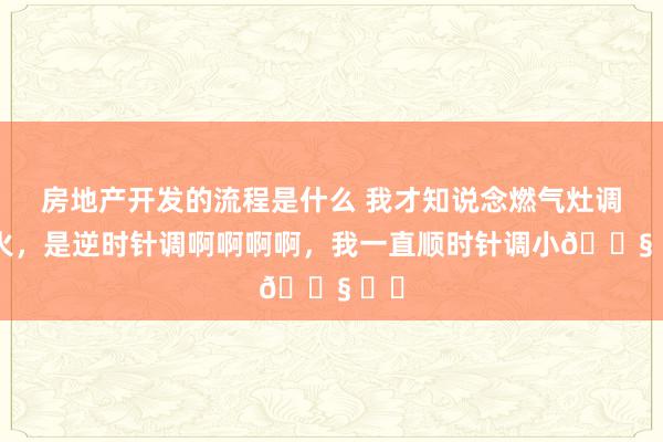 房地产开发的流程是什么 我才知说念燃气灶调小火，是逆时针调啊啊啊啊，我一直顺时针调小😧 ​​