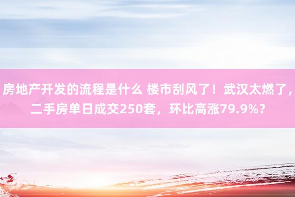 房地产开发的流程是什么 楼市刮风了！武汉太燃了，二手房单日成交250套，环比高涨79.9%？