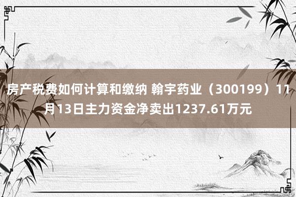 房产税费如何计算和缴纳 翰宇药业（300199）11月13日主力资金净卖出1237.61万元