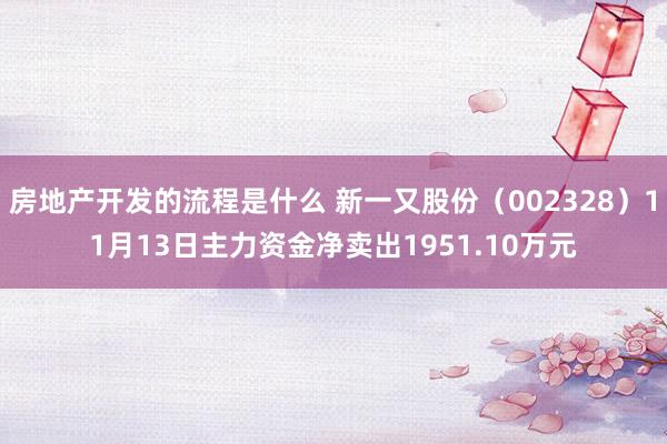 房地产开发的流程是什么 新一又股份（002328）11月13日主力资金净卖出1951.10万元