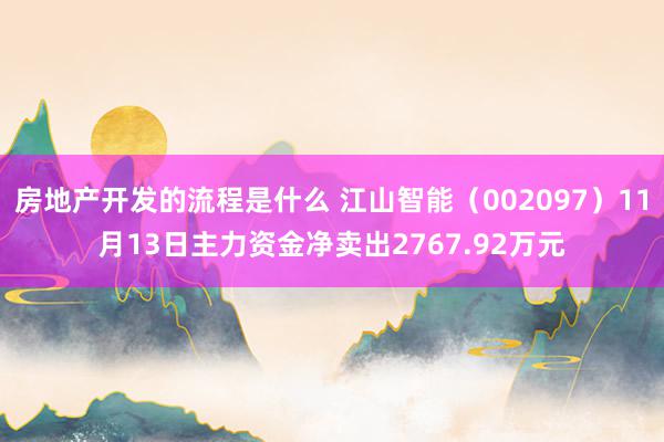 房地产开发的流程是什么 江山智能（002097）11月13日主力资金净卖出2767.92万元