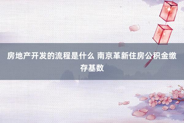 房地产开发的流程是什么 南京革新住房公积金缴存基数