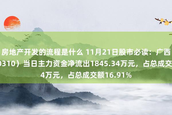 房地产开发的流程是什么 11月21日股市必读：广西动力（600310）当日主力资金净流出1845.34万元，占总成交额16.91%