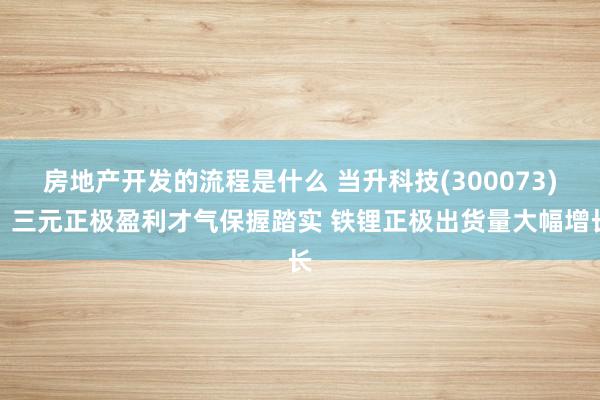 房地产开发的流程是什么 当升科技(300073)：三元正极盈利才气保握踏实 铁锂正极出货量大幅增长