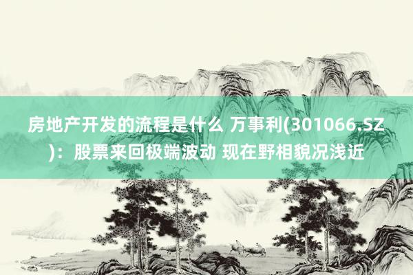 房地产开发的流程是什么 万事利(301066.SZ)：股票来回极端波动 现在野相貌况浅近