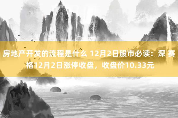 房地产开发的流程是什么 12月2日股市必读：深 赛 格12月2日涨停收盘，收盘价10.33元