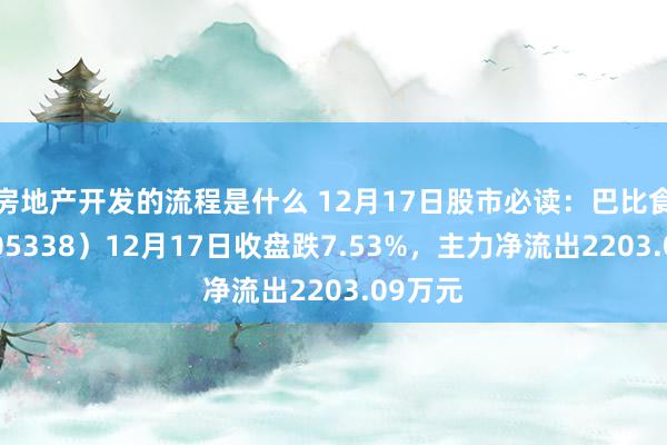 房地产开发的流程是什么 12月17日股市必读：巴比食物（605338）12月17日收盘跌7.53%，主力净流出2203.09万元