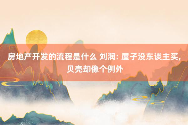 房地产开发的流程是什么 刘润: 屋子没东谈主买, 贝壳却像个例外