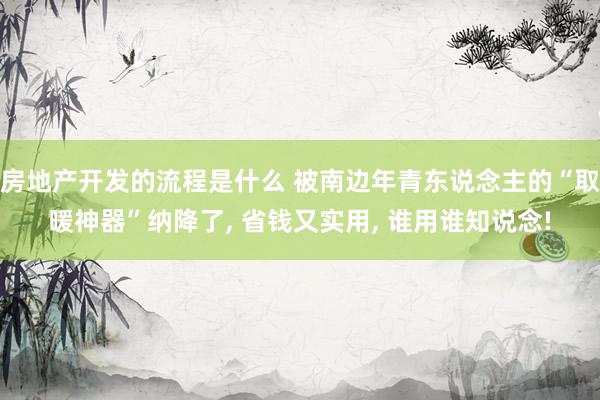 房地产开发的流程是什么 被南边年青东说念主的“取暖神器”纳降了, 省钱又实用, 谁用谁知说念!