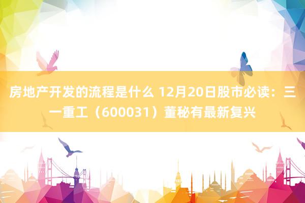 房地产开发的流程是什么 12月20日股市必读：三一重工（600031）董秘有最新复兴