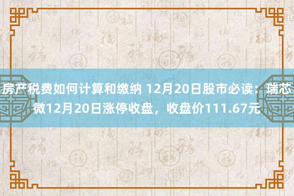 房产税费如何计算和缴纳 12月20日股市必读：瑞芯微12月20日涨停收盘，收盘价111.67元