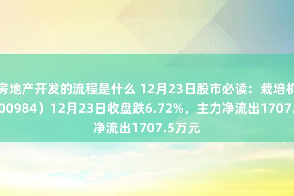 房地产开发的流程是什么 12月23日股市必读：栽培机械（600984）12月23日收盘跌6.72%，主力净流出1707.5万元