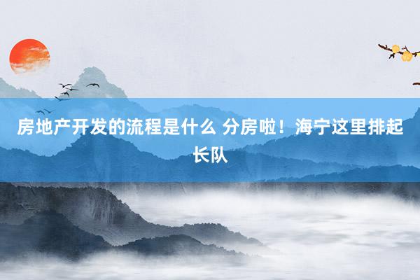 房地产开发的流程是什么 分房啦！海宁这里排起长队