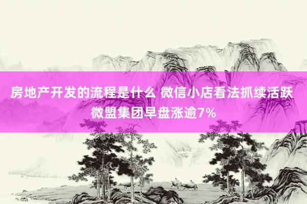 房地产开发的流程是什么 微信小店看法抓续活跃 微盟集团早盘涨逾7%