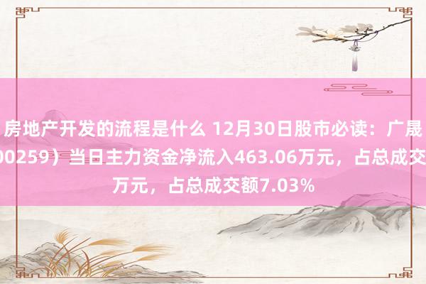 房地产开发的流程是什么 12月30日股市必读：广晟有色（600259）当日主力资金净流入463.06万元，占总成交额7.03%