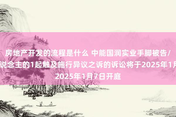 房地产开发的流程是什么 中能国润实业手脚被告/被上诉东说念主的1起触及施行异议之诉的诉讼将于2025年1月7日开庭