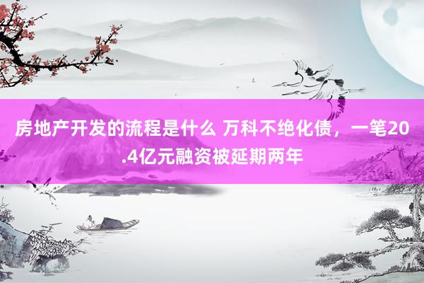 房地产开发的流程是什么 万科不绝化债，一笔20.4亿元融资被延期两年