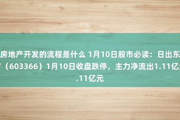 房地产开发的流程是什么 1月10日股市必读：日出东方（603366）1月10日收盘跌停，主力净流出1.11亿元