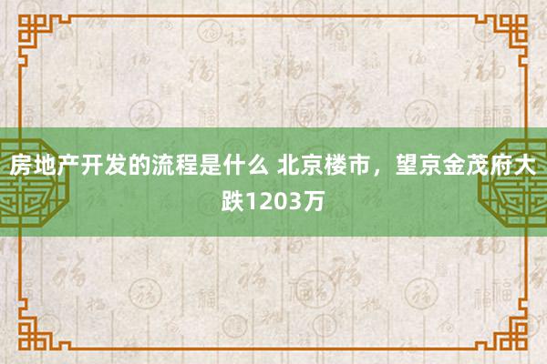 房地产开发的流程是什么 北京楼市，望京金茂府大跌1203万