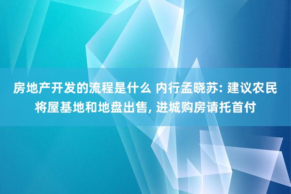 房地产开发的流程是什么 内行孟晓苏: 建议农民将屋基地和地盘出售, 进城购房请托首付