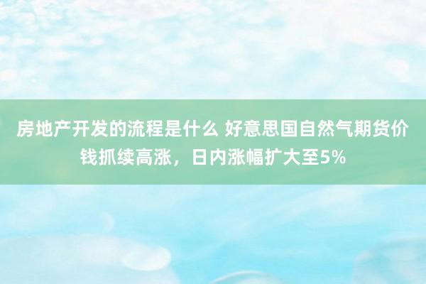 房地产开发的流程是什么 好意思国自然气期货价钱抓续高涨，日内涨幅扩大至5%