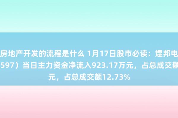 房地产开发的流程是什么 1月17日股市必读：煜邦电力（688597）当日主力资金净流入923.17万元，占总成交额12.73%