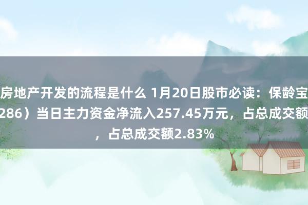 房地产开发的流程是什么 1月20日股市必读：保龄宝（002286）当日主力资金净流入257.45万元，占总成交额2.83%