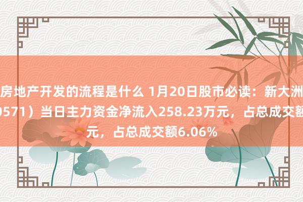 房地产开发的流程是什么 1月20日股市必读：新大洲A（000571）当日主力资金净流入258.23万元，占总成交额6.06%