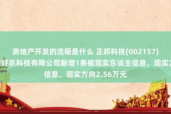 房地产开发的流程是什么 正邦科技(002157)控股的昆明新好农科技有限公司新增1条被现实东谈主信息，现实方向2.56万元