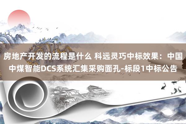 房地产开发的流程是什么 科远灵巧中标效果：中国中煤智能DCS系统汇集采购面孔-标段1中标公告