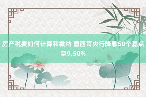 房产税费如何计算和缴纳 墨西哥央行降息50个基点至9.50%