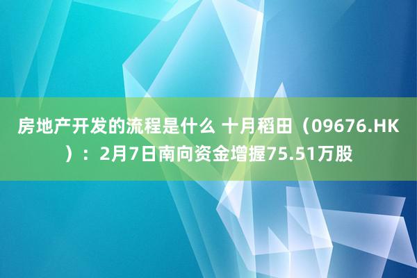 房地产开发的流程是什么 十月稻田（09676.HK）：2月7日南向资金增握75.51万股