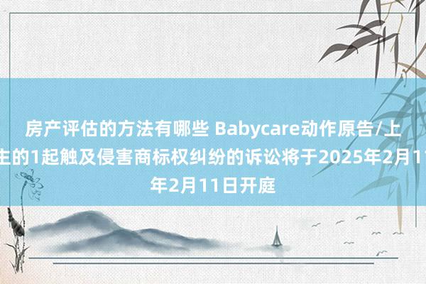 房产评估的方法有哪些 Babycare动作原告/上诉东谈主的1起触及侵害商标权纠纷的诉讼将于2025年2月11日开庭