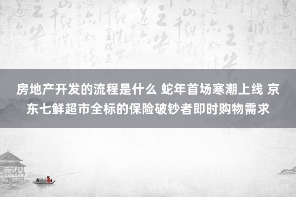 房地产开发的流程是什么 蛇年首场寒潮上线 京东七鲜超市全标的保险破钞者即时购物需求