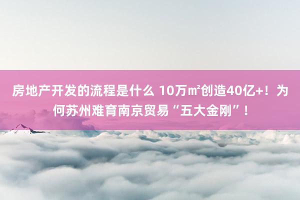 房地产开发的流程是什么 10万㎡创造40亿+！为何苏州难育南京贸易“五大金刚”！