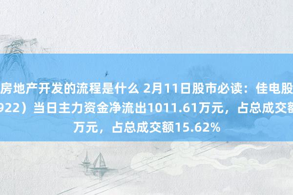 房地产开发的流程是什么 2月11日股市必读：佳电股份（000922）当日主力资金净流出1011.61万元，占总成交额15.62%