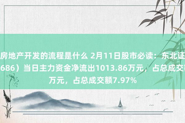 房地产开发的流程是什么 2月11日股市必读：东北证券（000686）当日主力资金净流出1013.86万元，占总成交额7.97%