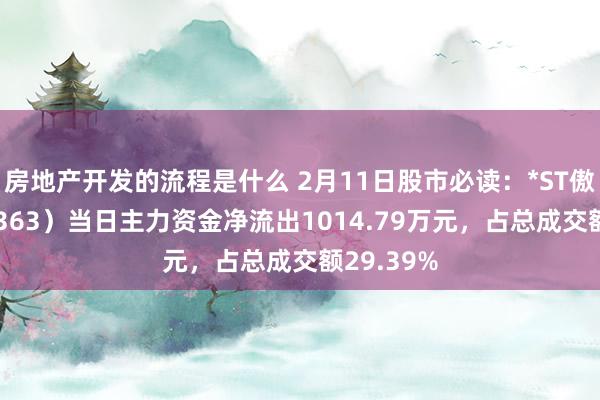 房地产开发的流程是什么 2月11日股市必读：*ST傲农（603363）当日主力资金净流出1014.79万元，占总成交额29.39%