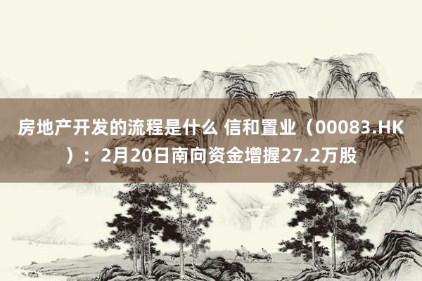 房地产开发的流程是什么 信和置业（00083.HK）：2月20日南向资金增握27.2万股