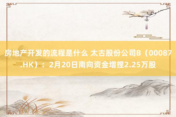 房地产开发的流程是什么 太古股份公司B（00087.HK）：2月20日南向资金增捏2.25万股