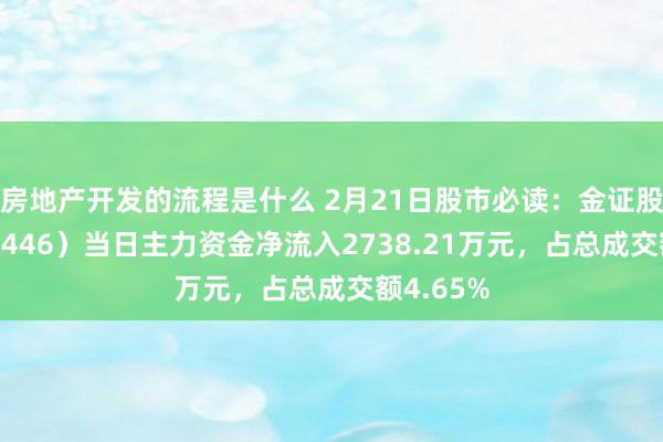 房地产开发的流程是什么 2月21日股市必读：金证股份（600446）当日主力资金净流入2738.21万元，占总成交额4.65%