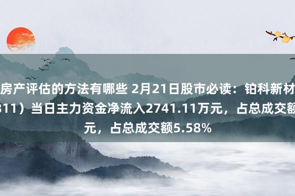 房产评估的方法有哪些 2月21日股市必读：铂科新材（300811）当日主力资金净流入2741.11万元，占总成交额5.58%