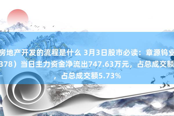 房地产开发的流程是什么 3月3日股市必读：章源钨业（002378）当日主力资金净流出747.63万元，占总成交额5.73%