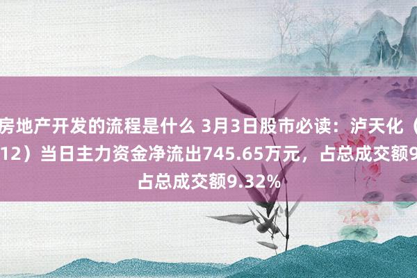 房地产开发的流程是什么 3月3日股市必读：泸天化（000912）当日主力资金净流出745.65万元，占总成交额9.32%