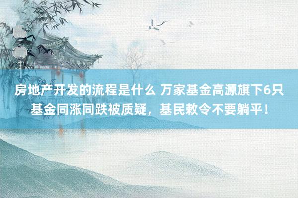 房地产开发的流程是什么 万家基金高源旗下6只基金同涨同跌被质疑，基民敕令不要躺平！