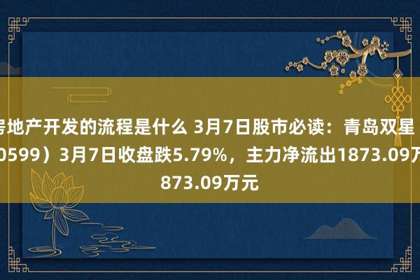 房地产开发的流程是什么 3月7日股市必读：青岛双星（000599）3月7日收盘跌5.79%，主力净流出1873.09万元