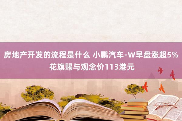 房地产开发的流程是什么 小鹏汽车-W早盘涨超5% 花旗赐与观念价113港元