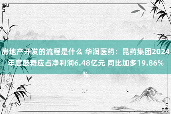 房地产开发的流程是什么 华润医药：昆药集团2024年度鼓舞应占净利润6.48亿元 同比加多19.86%