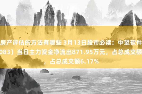 房产评估的方法有哪些 3月13日股市必读：中望软件（688083）当日主力资金净流出871.95万元，占总成交额6.17%